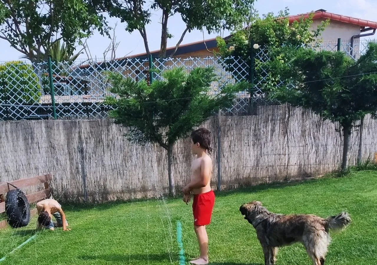 baigoraetxea-jardin-perros-4153