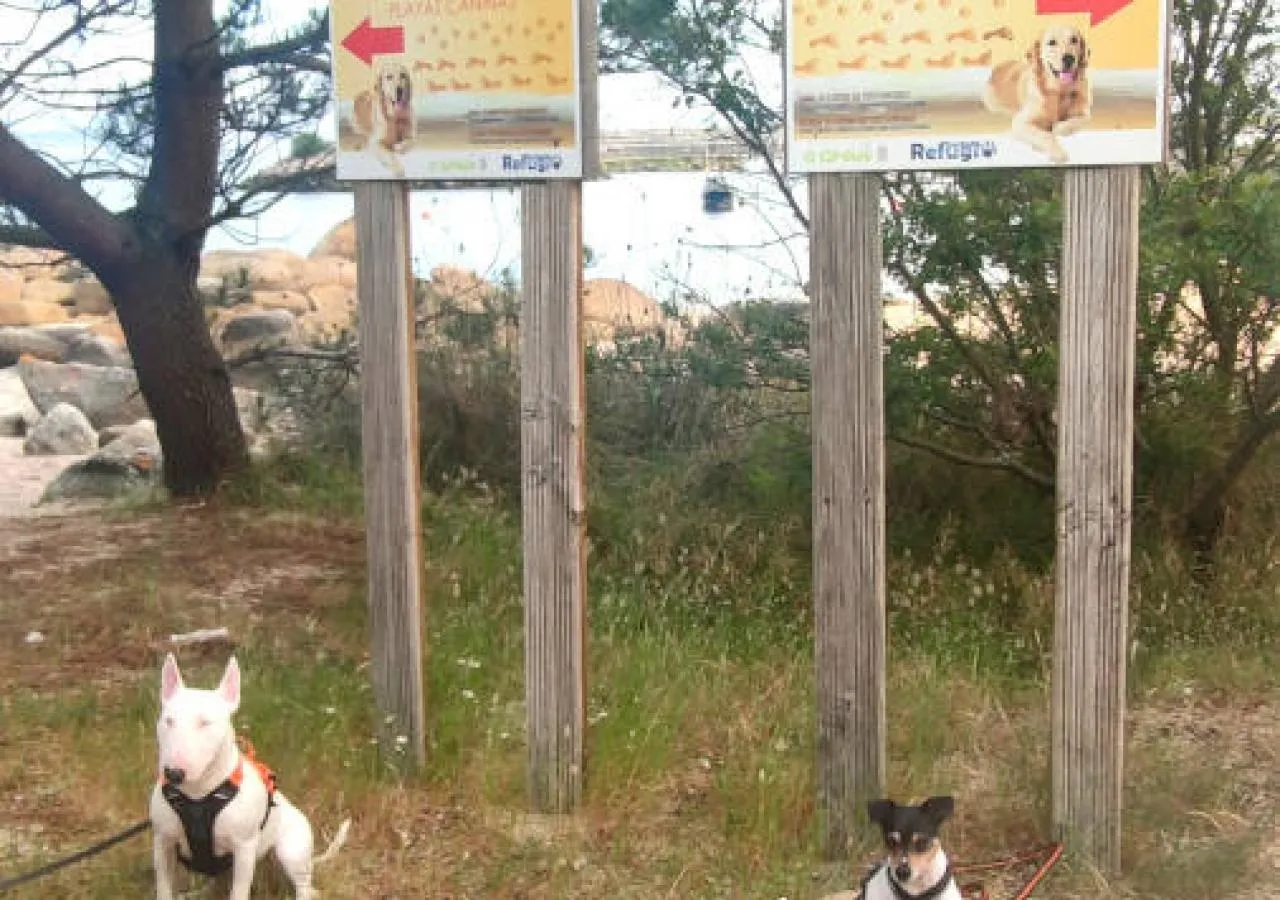 baixamar-cartel-playa-3945