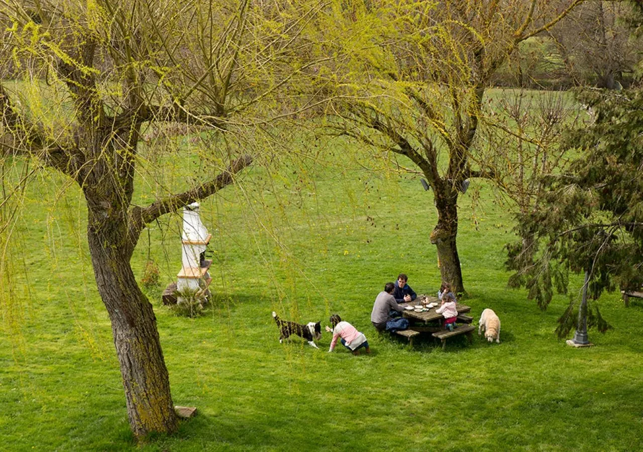 barbacoa-3040