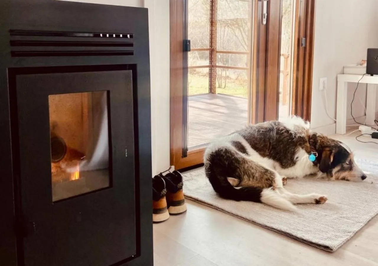 chimenea perro