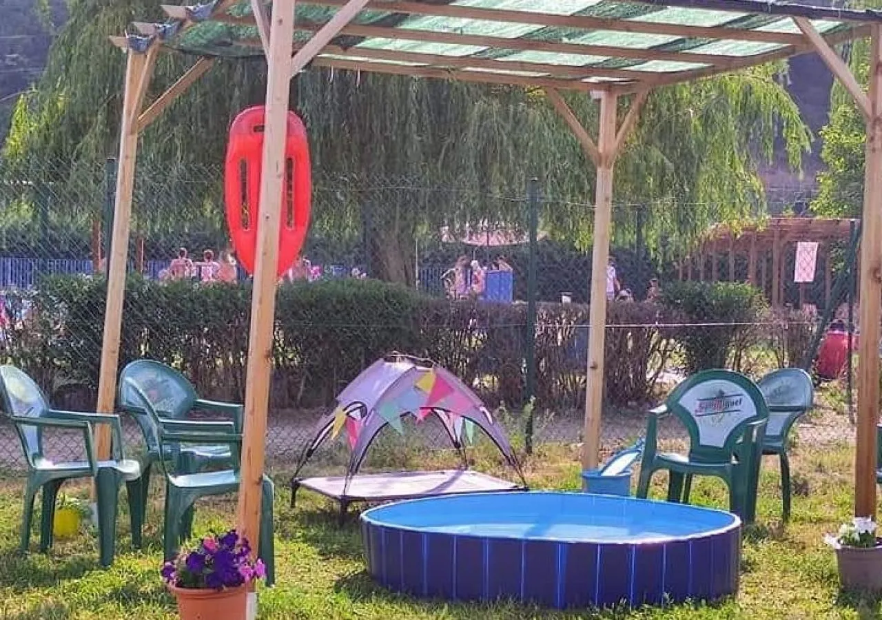 camping-cistierna-perros-4524