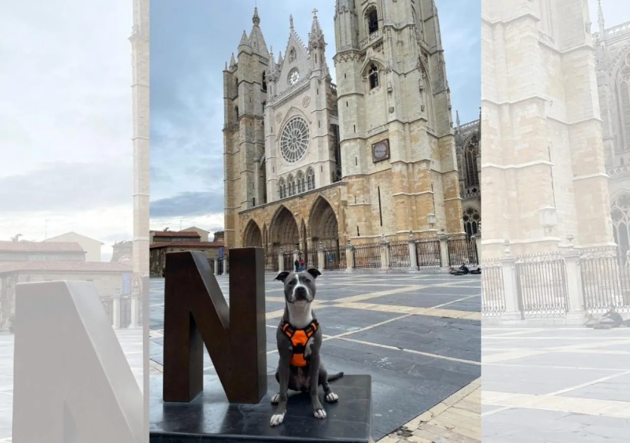 fchoteles-leon-catedral-5424