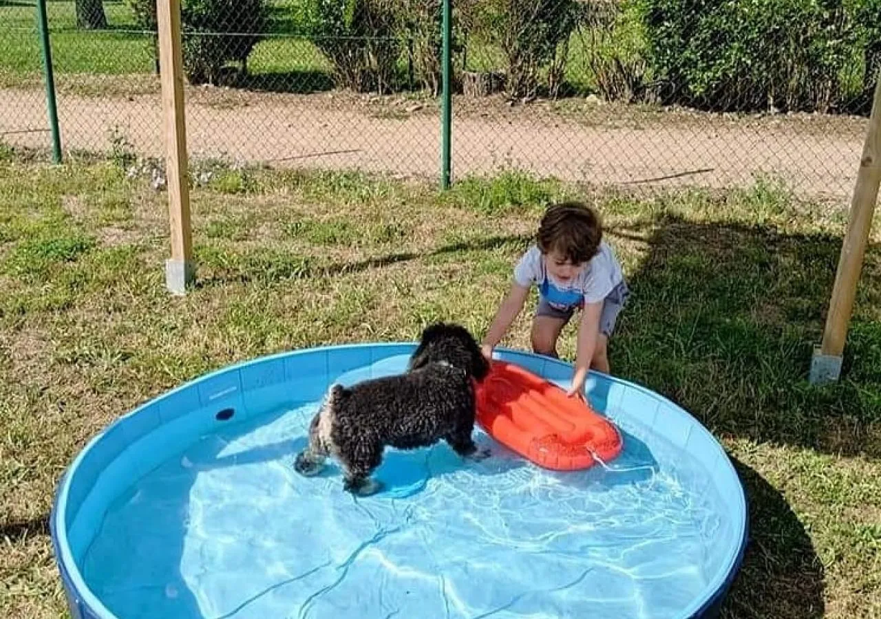 piscina-perros-4522
