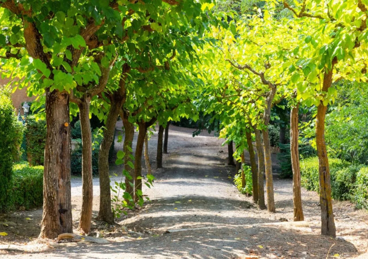 villaengracia paseo