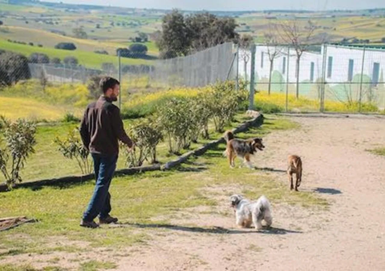 Residencia-canina-javier-188