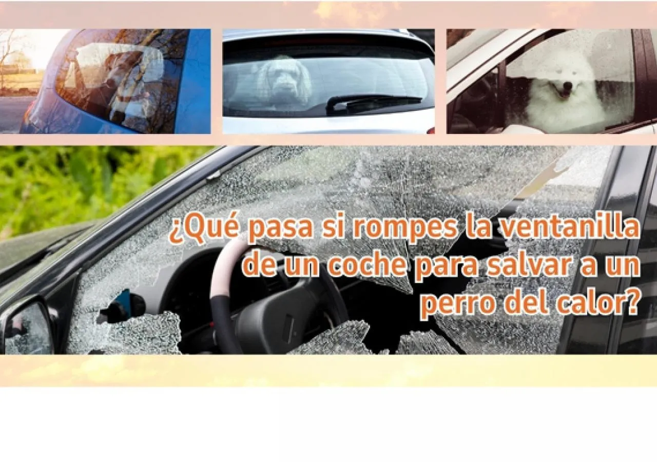 ¿Qué pasa si rompes la ventanilla de un coche para salvar a un perro del calor en España?