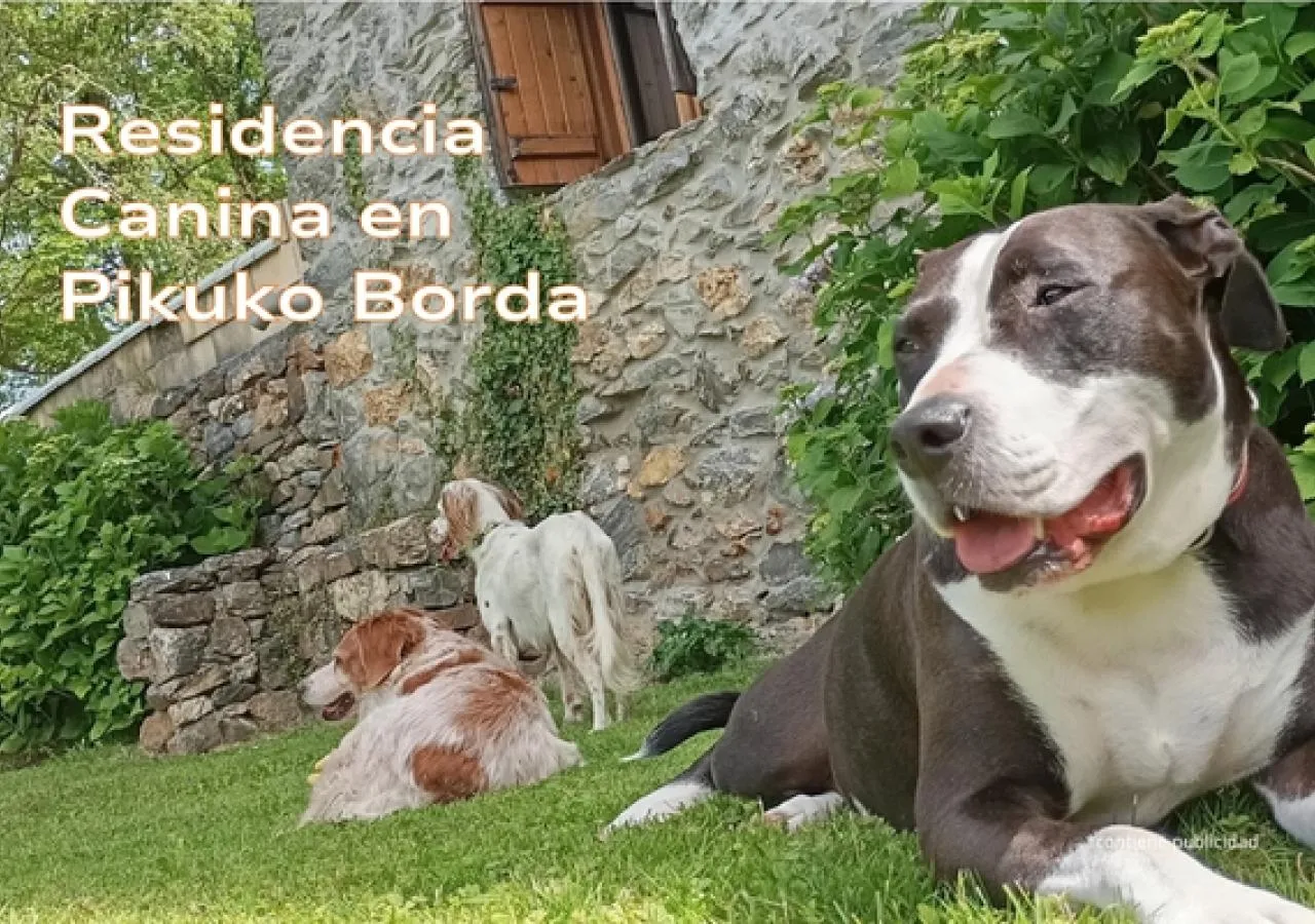 Residencia Canina en Pikuko Borda