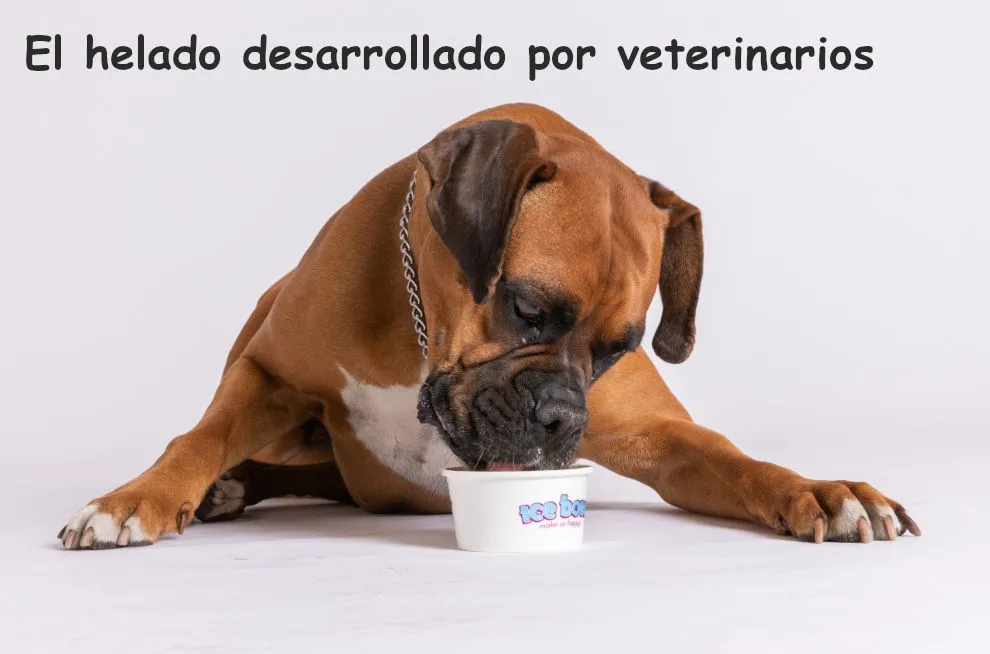 ICE BOWL - El helado desarrollado por veterinarios