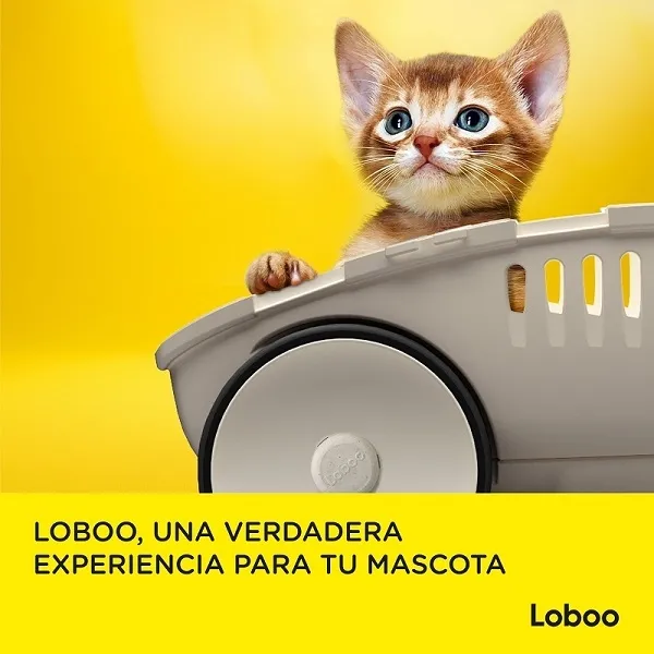 LOBOO, la marca de mascotas para los auténticos PET LOVERS